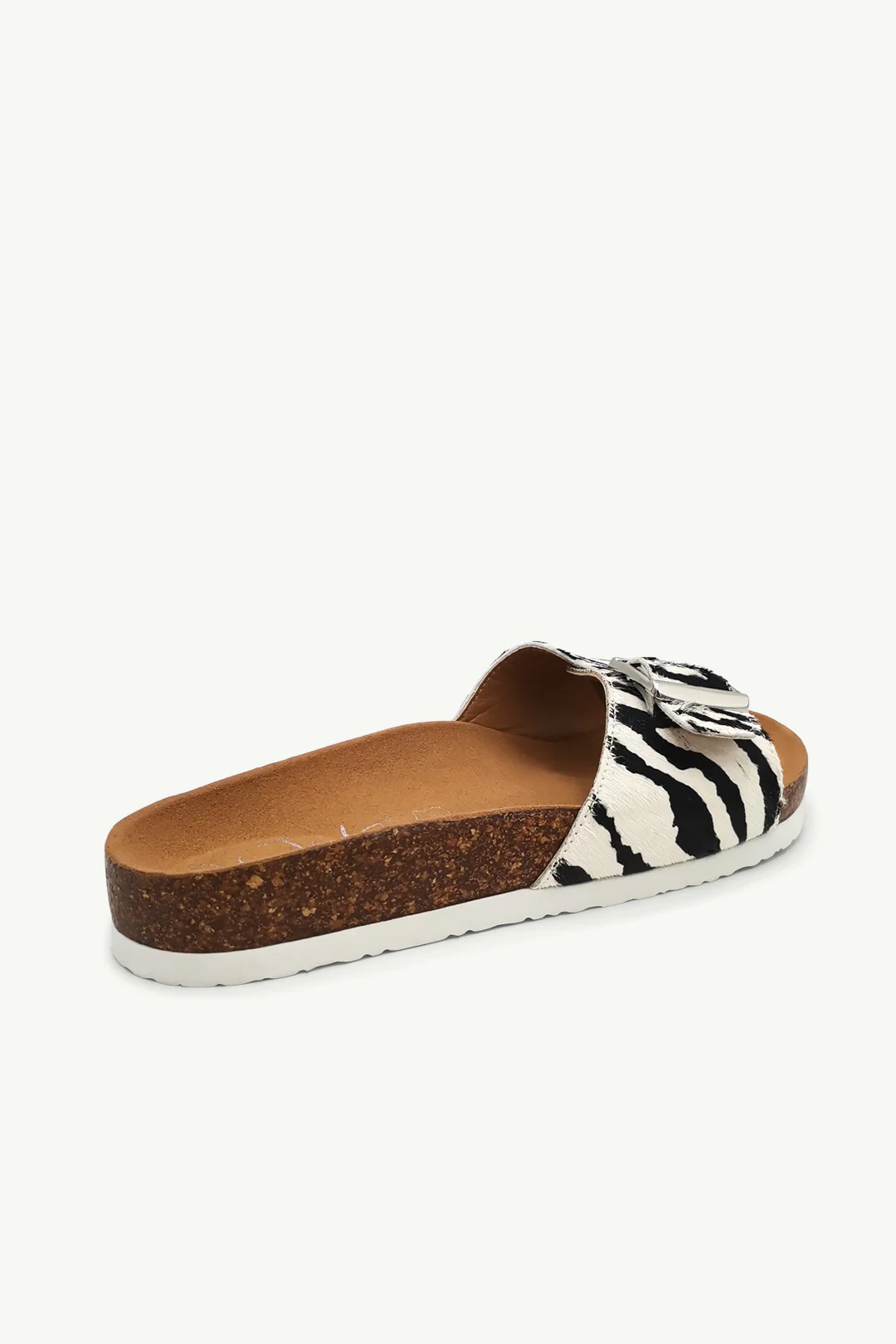 Amber Zebra - Image 3