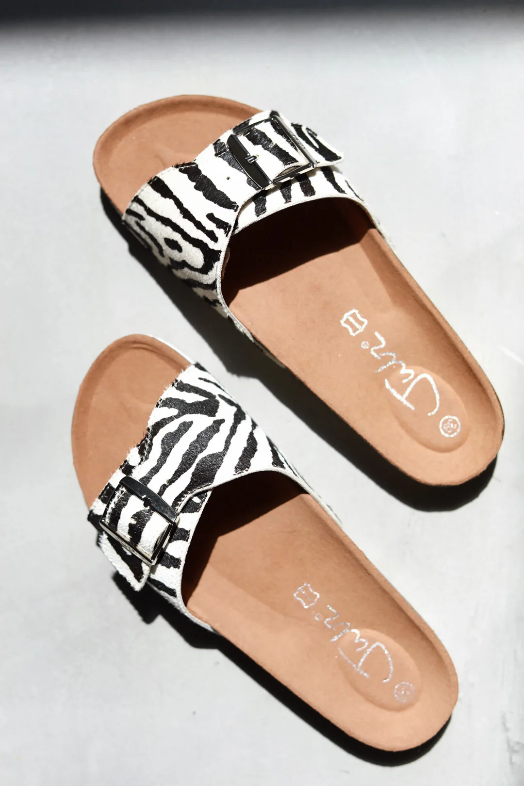 Amber Zebra - Image 4