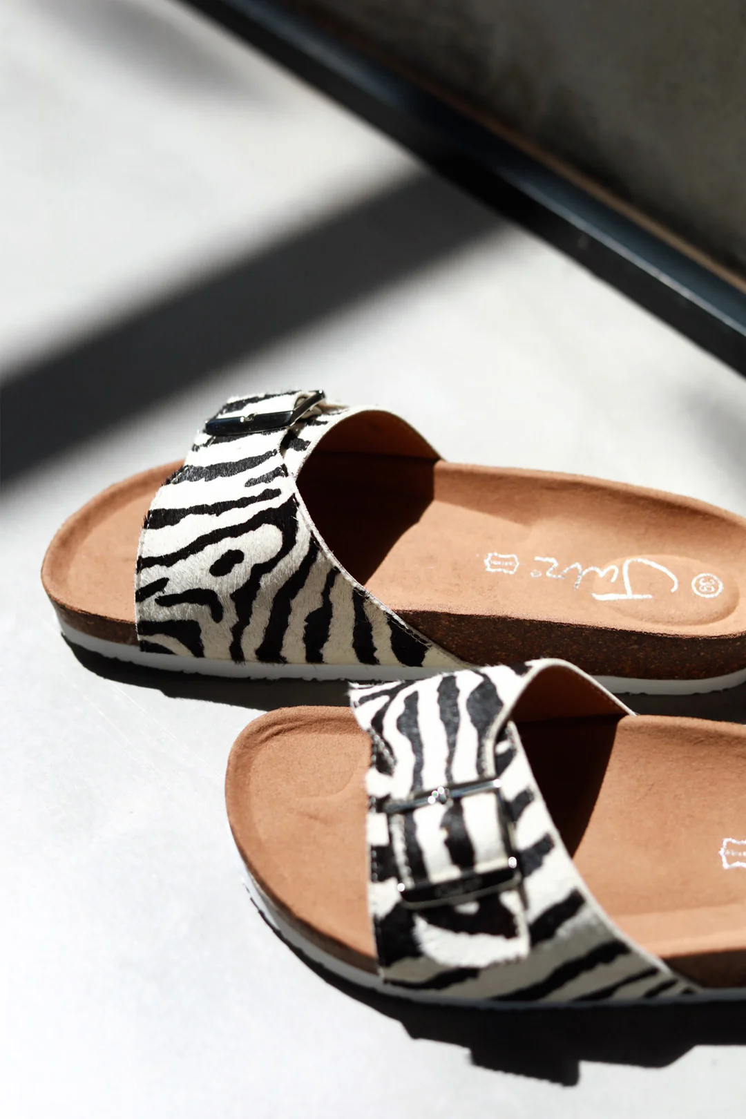 Amber Zebra - Image 5