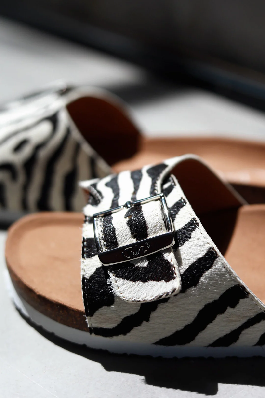 Amber Zebra - Image 6