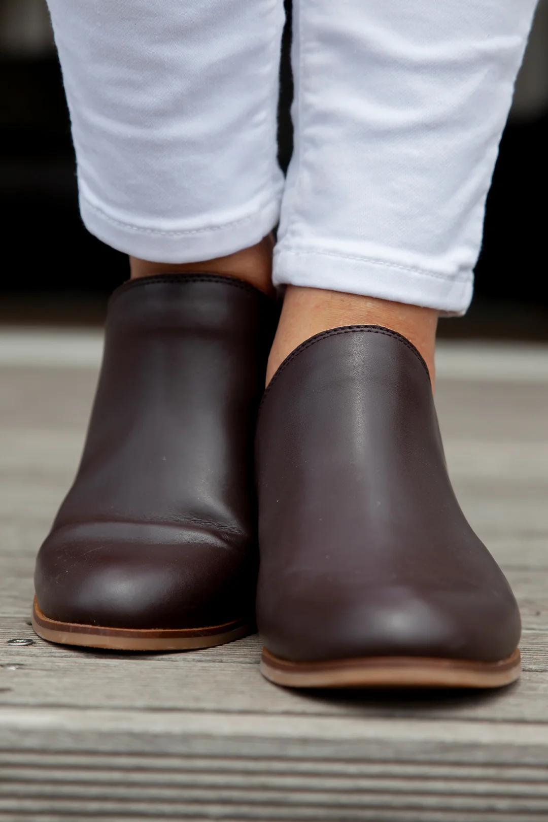 Aria Chestnut - Image 5