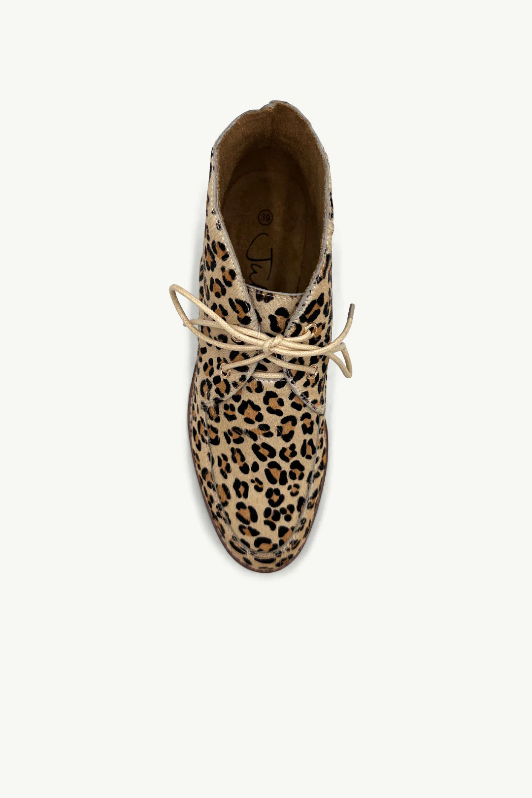 Ava Leopard - Image 4