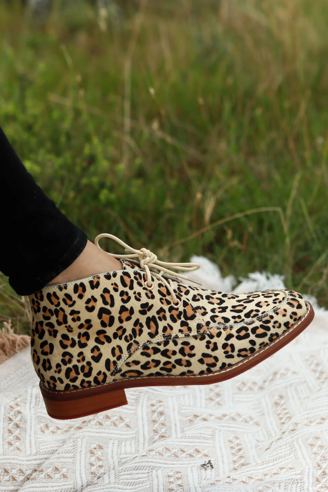 Ava Leopard - Image 6