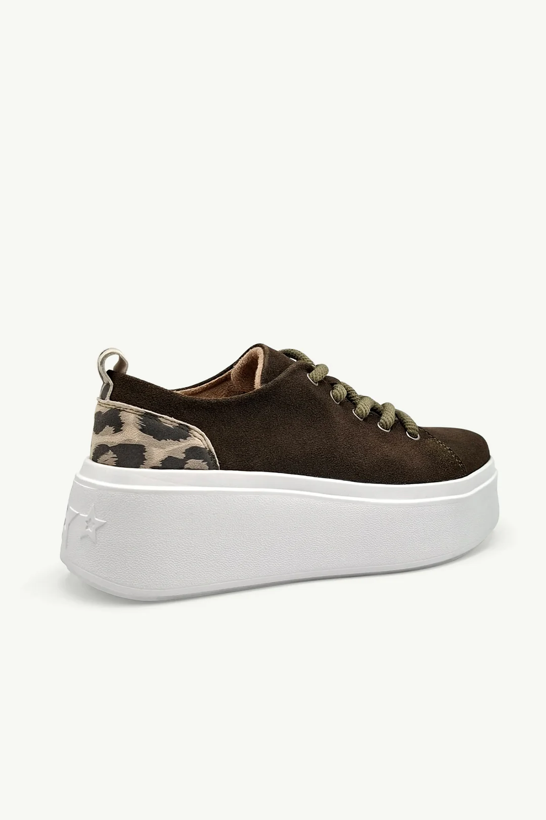 Bari Olive - Image 3