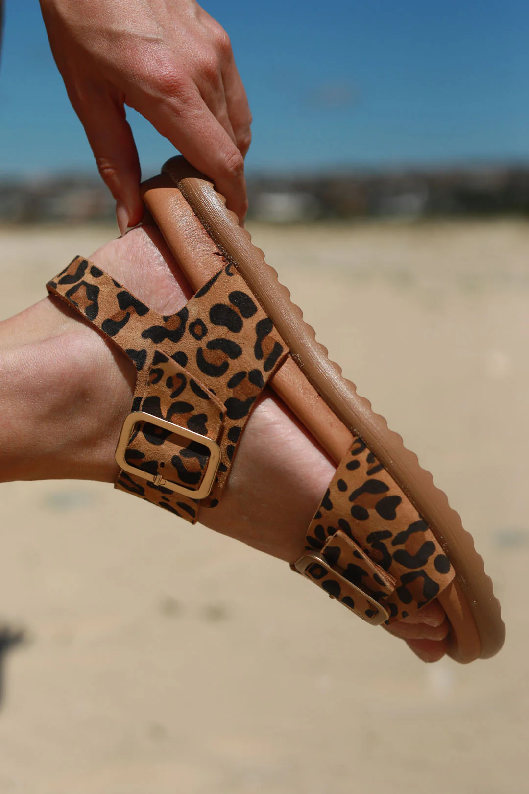 Core Leopard - Image 4