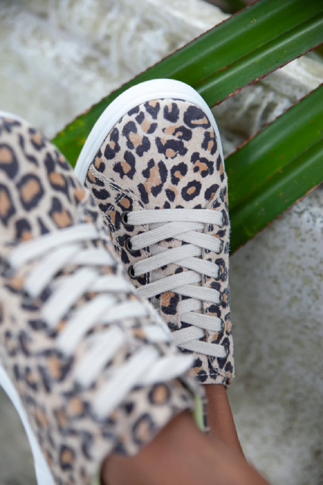 Foster Leopard - Image 6
