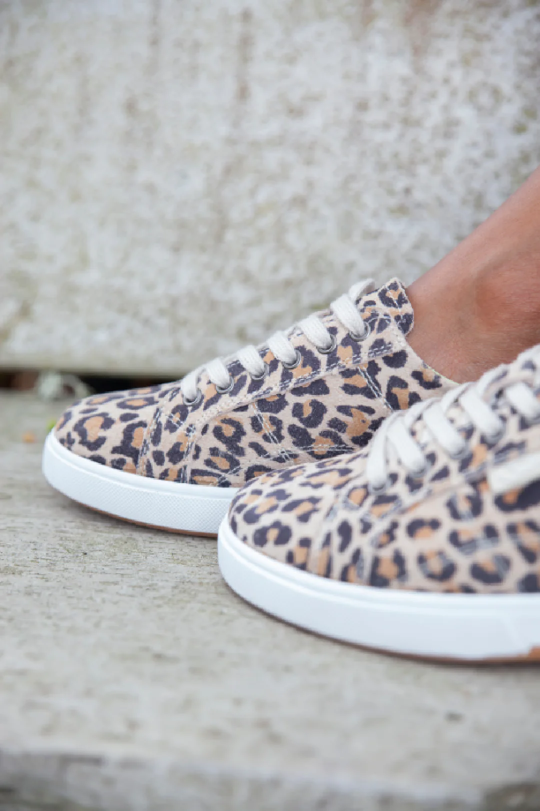 Foster Leopard - Image 7