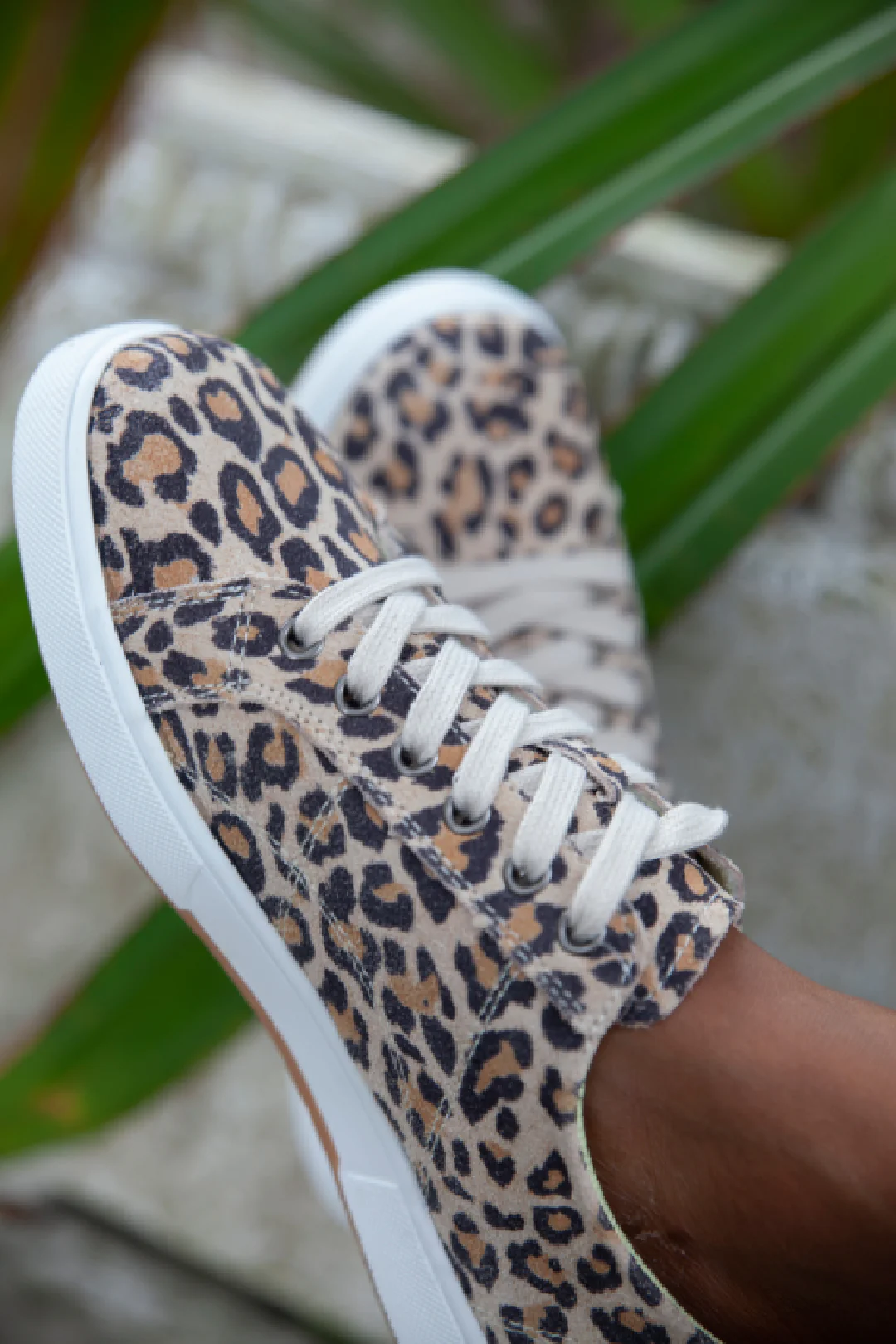 Foster Leopard - Image 8