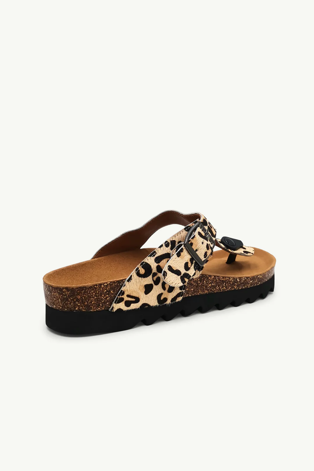 Jason Leopard - Image 3