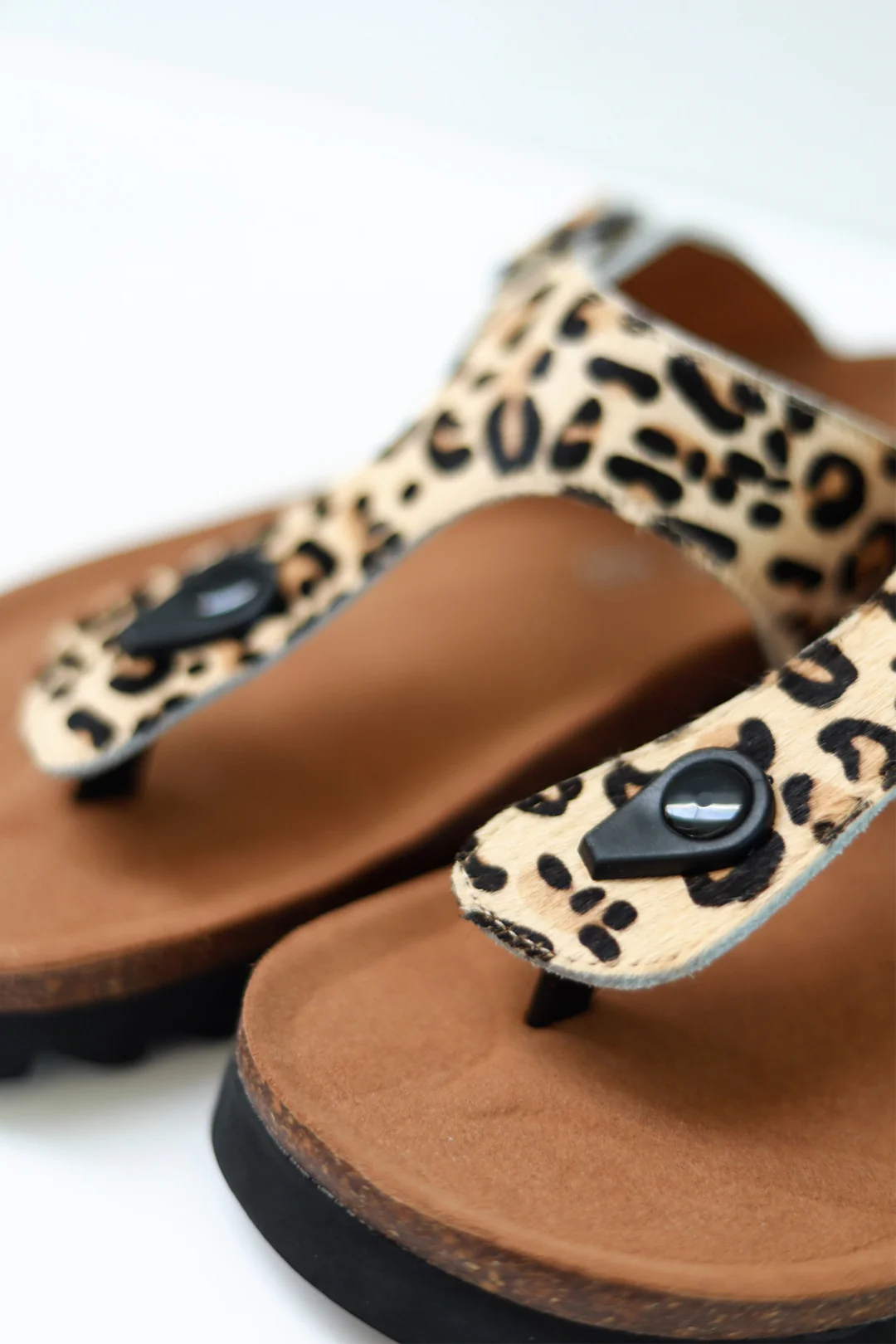 Jason Leopard - Image 6