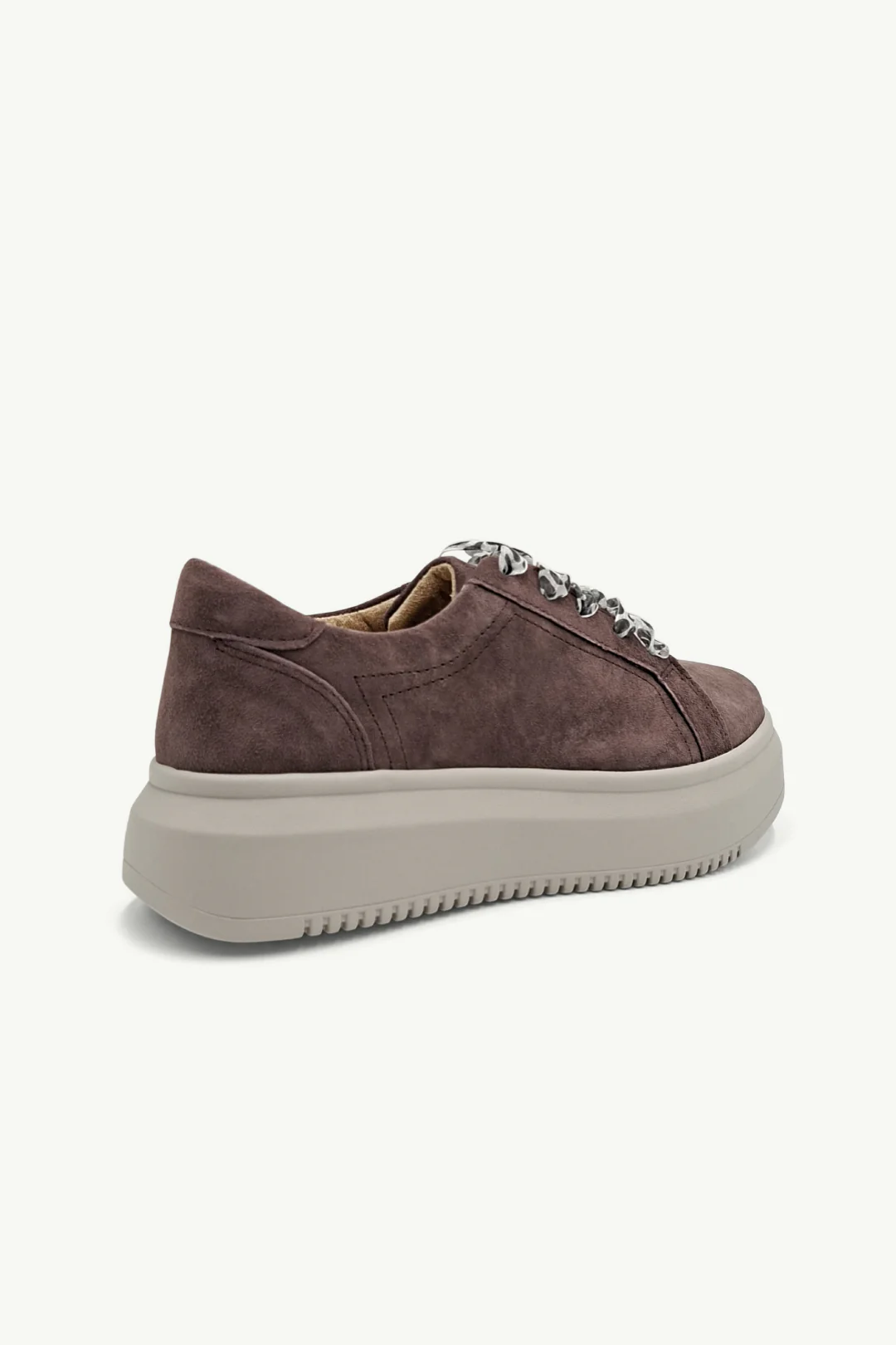 Lyra Chestnut - Image 3