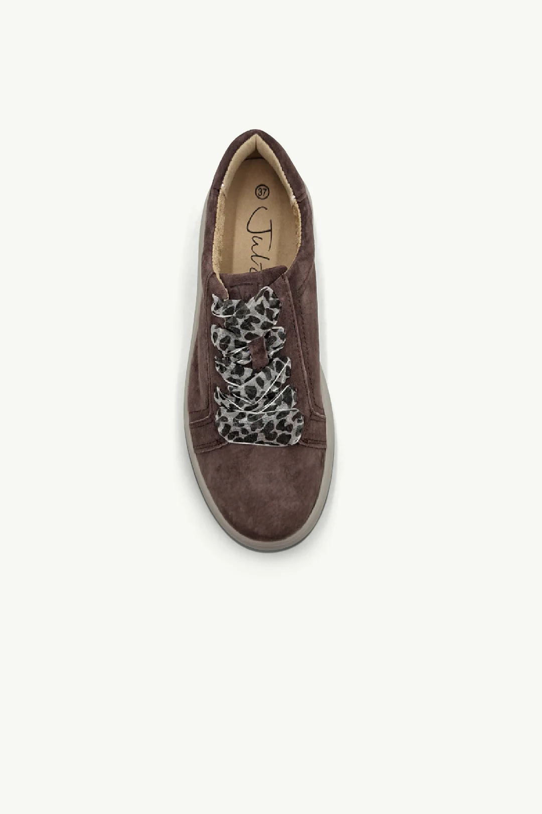Lyra Chestnut - Image 4