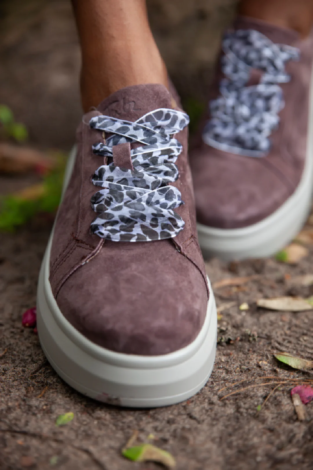 Lyra Chestnut - Image 7