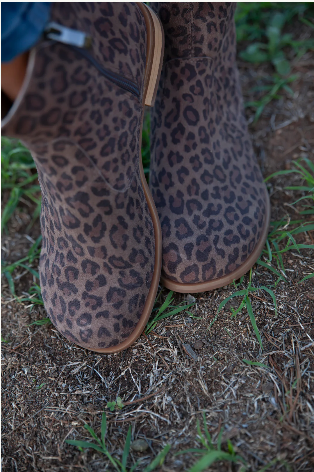 Milano Leopard - Image 7