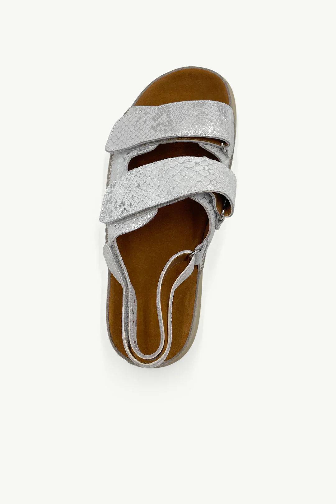 Rae Silver Snake - Image 4