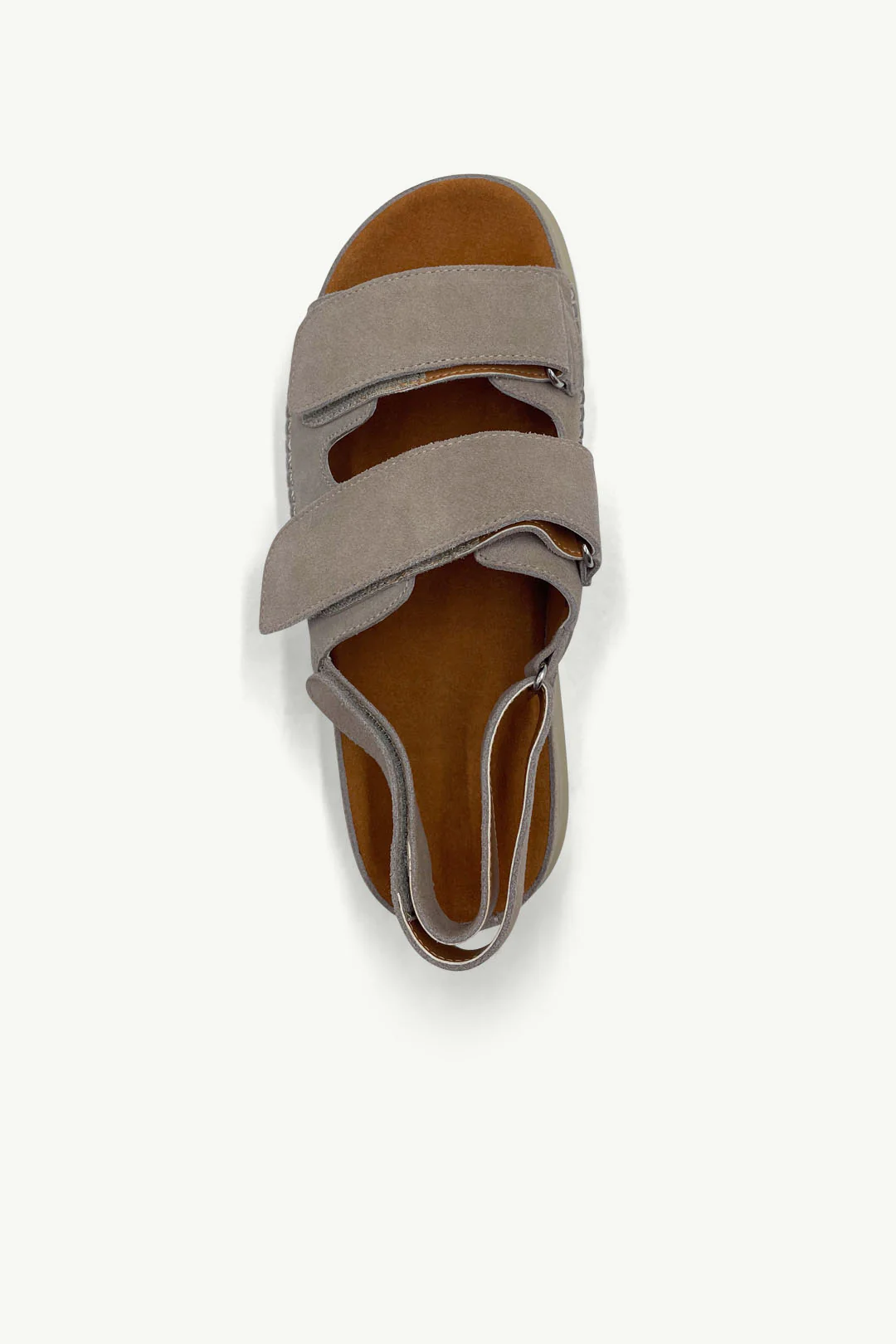 Rae Taupe - Image 4