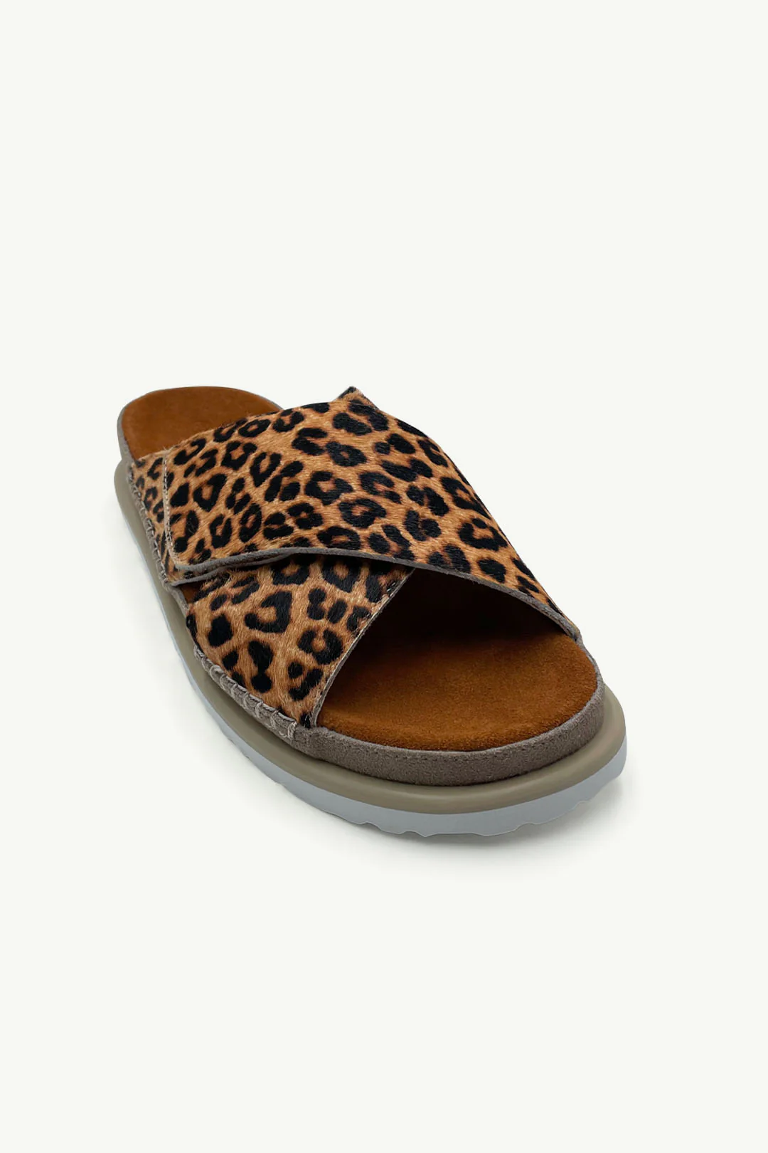 Reese Leopard - Image 2