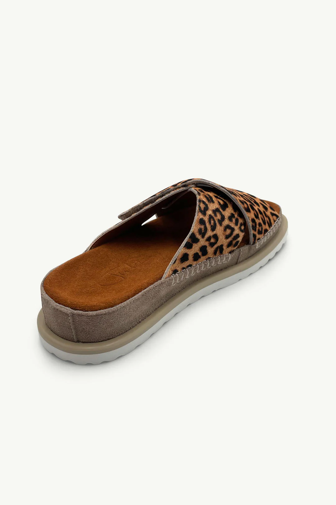 Reese Leopard - Image 3