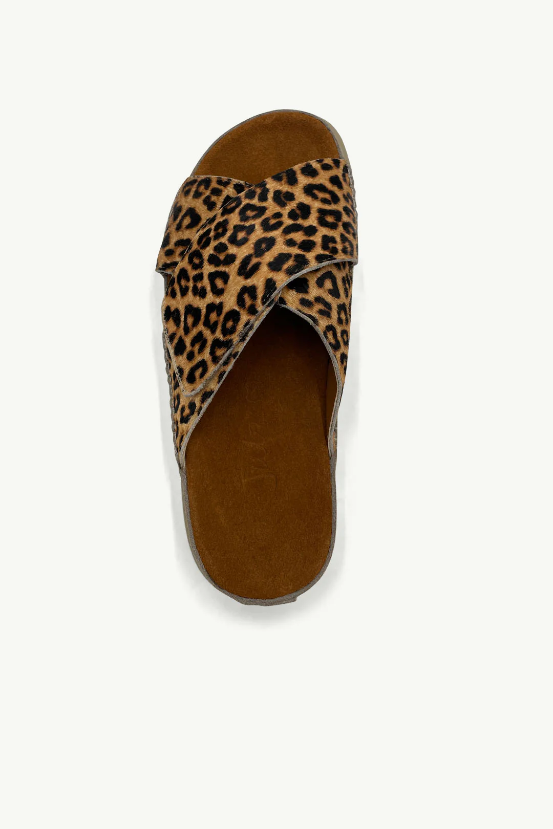 Reese Leopard - Image 4