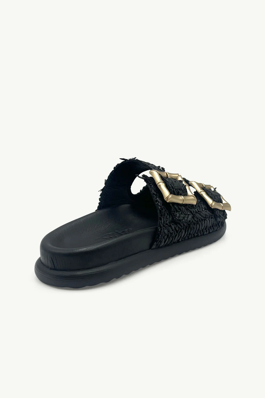 Taylor Black - Image 3
