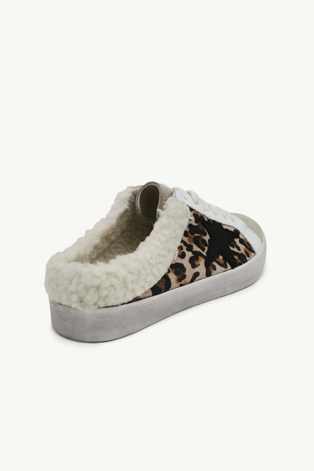 Trace Leopard - Image 3
